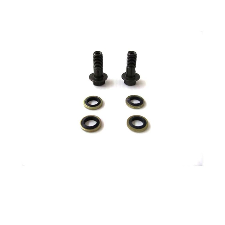 Set viti olio 8 mm
