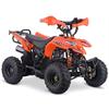 Miniquad 110 cc AUTOMATICO Arancione 6