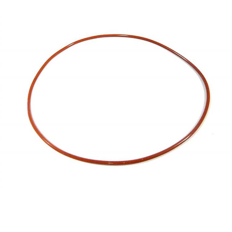 Oring piatto accensione (statore)