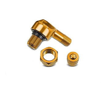 coppia valvole cerchio m10 oro