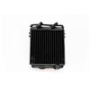 Radiatore acqua 23x17,5 cm  in Ricambi motore 2T a strappo
