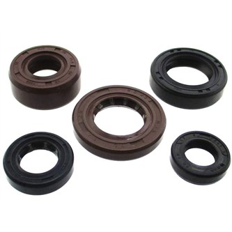 kit paraoli motore zs 190