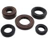 Kit paraoli motore ZS 190-212 in Ricambi Motore