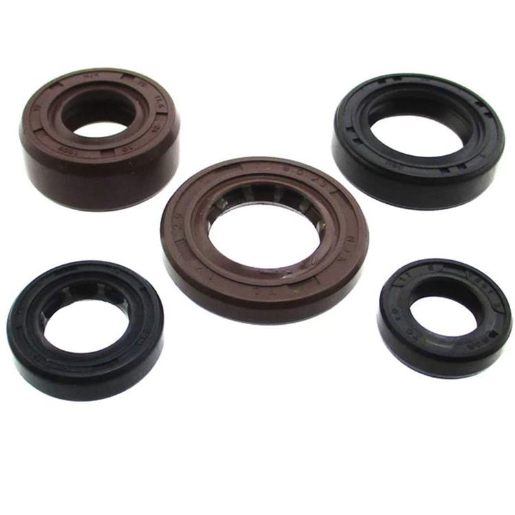 Kit paraoli motore ZS 190-212