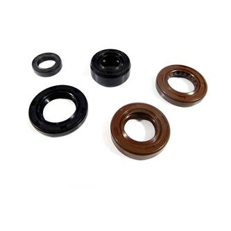 kit paraoli motore gpx zs 155