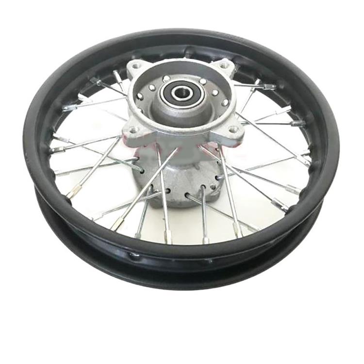 Cerchio posteriore 12