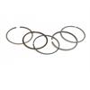 Fasce pistone Ohvale GP0 110 cc 54 mm spin 13 mm in Ricambi Motore