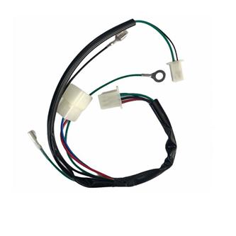 cablaggio elettrico zs 190 kick starter