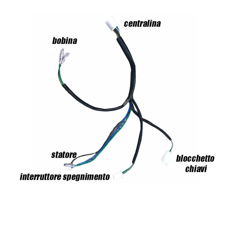 Cablaggio elettrico pit bike 1 connettore C