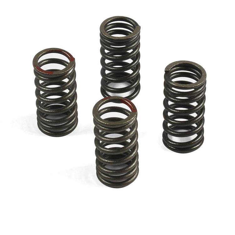 Kit molle per testa YX 4 valvole