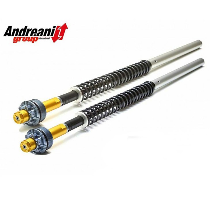 Kit cartuccia Andreani forcella regolabile per Ohvale GP0 (2014-2021)