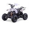 Carenatura plastica quad 110 Bianco in Miniquad