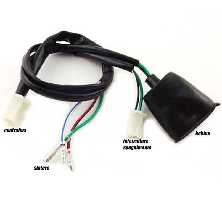 Cablaggio elettrico pit bike 1 connettore B