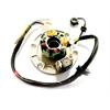 Statore GPX/ZS 155 e GPX/ZS 110 in Impianto Elettrico