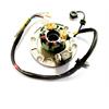 Statore GPX/ZS 155 e GPX/ZS 110 in Impianto Elettrico