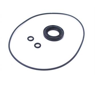 paraolio e oring statore