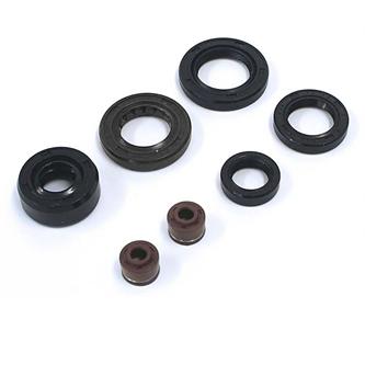set paraoli motori lifan