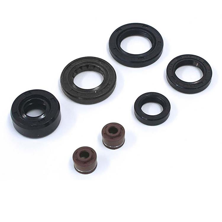 Set paraoli motori lifan (albero pignone 20 mm)