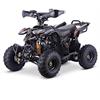 Miniquad 110 cc AUTOMATICO Nero 6