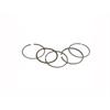 Fasce pistone 60 mm GPX/ZS 155 in Ricambi Motore