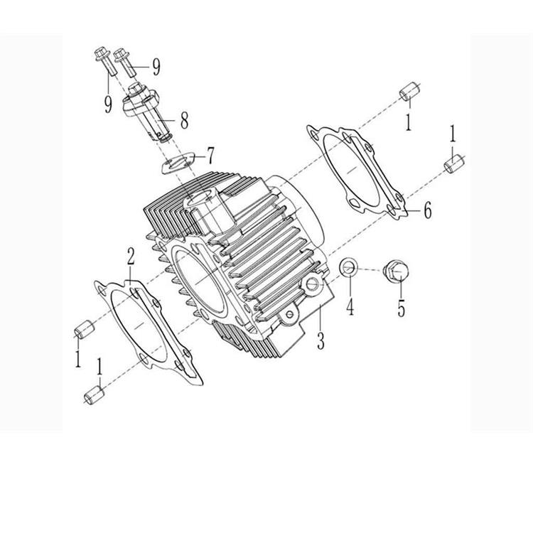 Guarnizione testa motore ZS 190