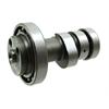 Albero a camme ZS 190-212 in Ricambi Motore