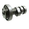 Albero a camme ZS 190-212 in Ricambi Motore