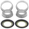 Kit revisione sterzo TM EN/MX 300 (02-23) in Manubrio e comandi