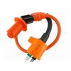 Bobina pit bike Racing 2 PIN in Impianto Elettrico