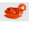 Fianchetti portanumero KTM 450 EXC-F (2012-2016) Arancione in Plastiche