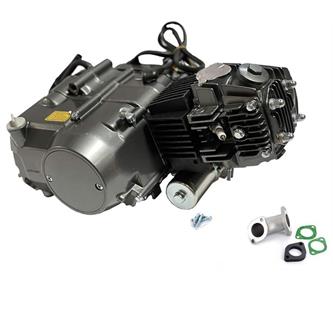 motore 110 automatico pitbike