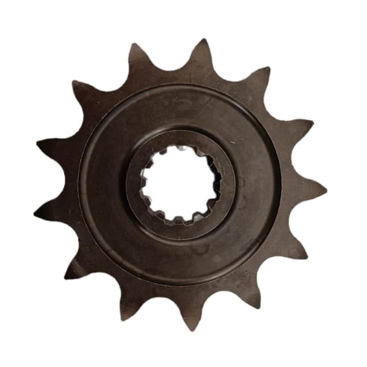 Pignone PBR TM EN 125 [08 21] 13 denti