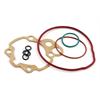 Kit guarnizioni cilindro Top Performance 70cc Minarelli AM6 in Ricambi motore e filtri