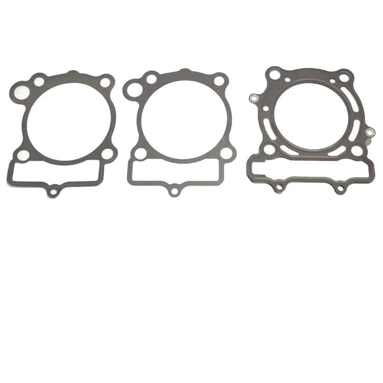 Guarnizioni Kawasaki KX 250 F (2004-2008) Race KIT