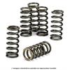 Molle frizione KTM 450 SX-F (07-11) in Ricambi motore e filtri