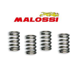 set molle frizione rinforzate malossi
