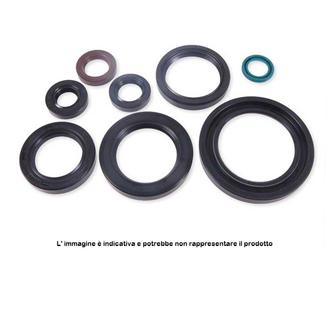 paraoli husqvarna 125 sms 98 13 motore