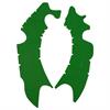 Paratelaio adesivo Vibram per Kawasaki KX 450 F (13-20) Verde in Protezioni moto