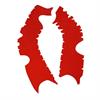 Paratelaio adesivo Vibram per Honda CRF 450R (19-20) Rosso in Protezioni moto