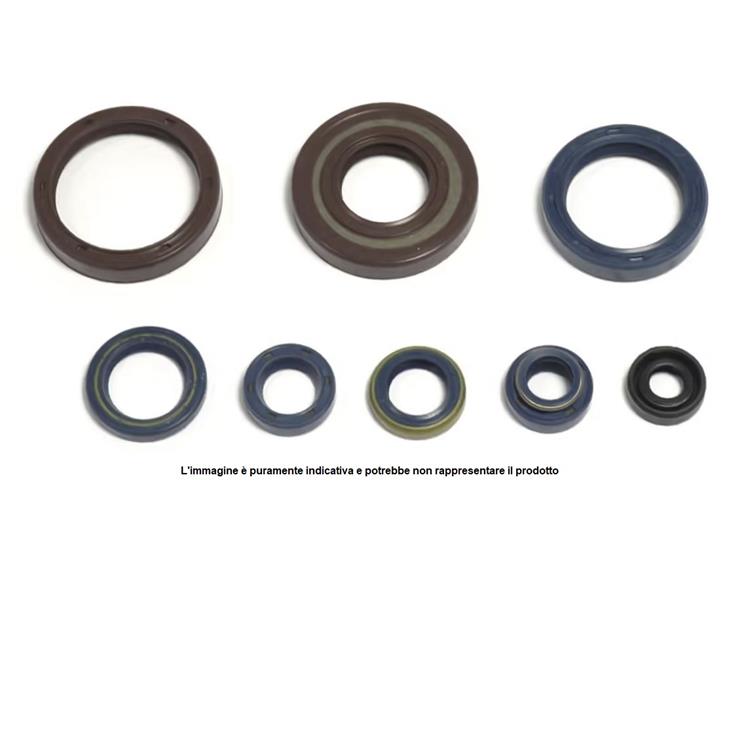 Serie paraolio motore NRTeam KTM 300 EXC (17-22)