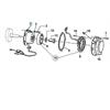 Accensione statore + rotore TM 125 EN (11-21) in Parti elettriche