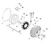 Statore accensione TM 125 EN-FI (20-22) in Parti elettriche