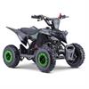 Miniquad Raptor 50 cc Verde in 