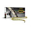 Catena Regina 420 140 maglie ORO in Trasmissione