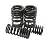 Kit molle valvole ZS 190-212 in Ricambi Motore