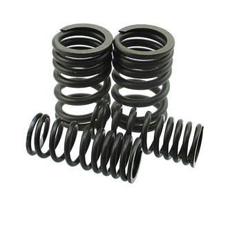kit molle valvole zs 190