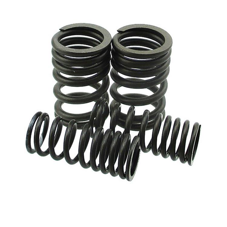 Kit molle valvole ZS 190-212