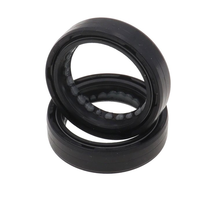 Kit paraolio forcella Ohvale GP0 / GP2 33x46x11