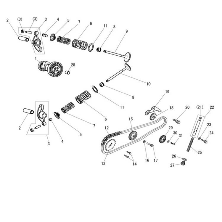 Albero a camme DAYTONA 150-190 cc (1)