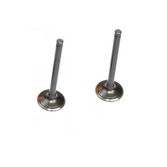 set valvole zs 110 125 zs154fmi 2 kpl
